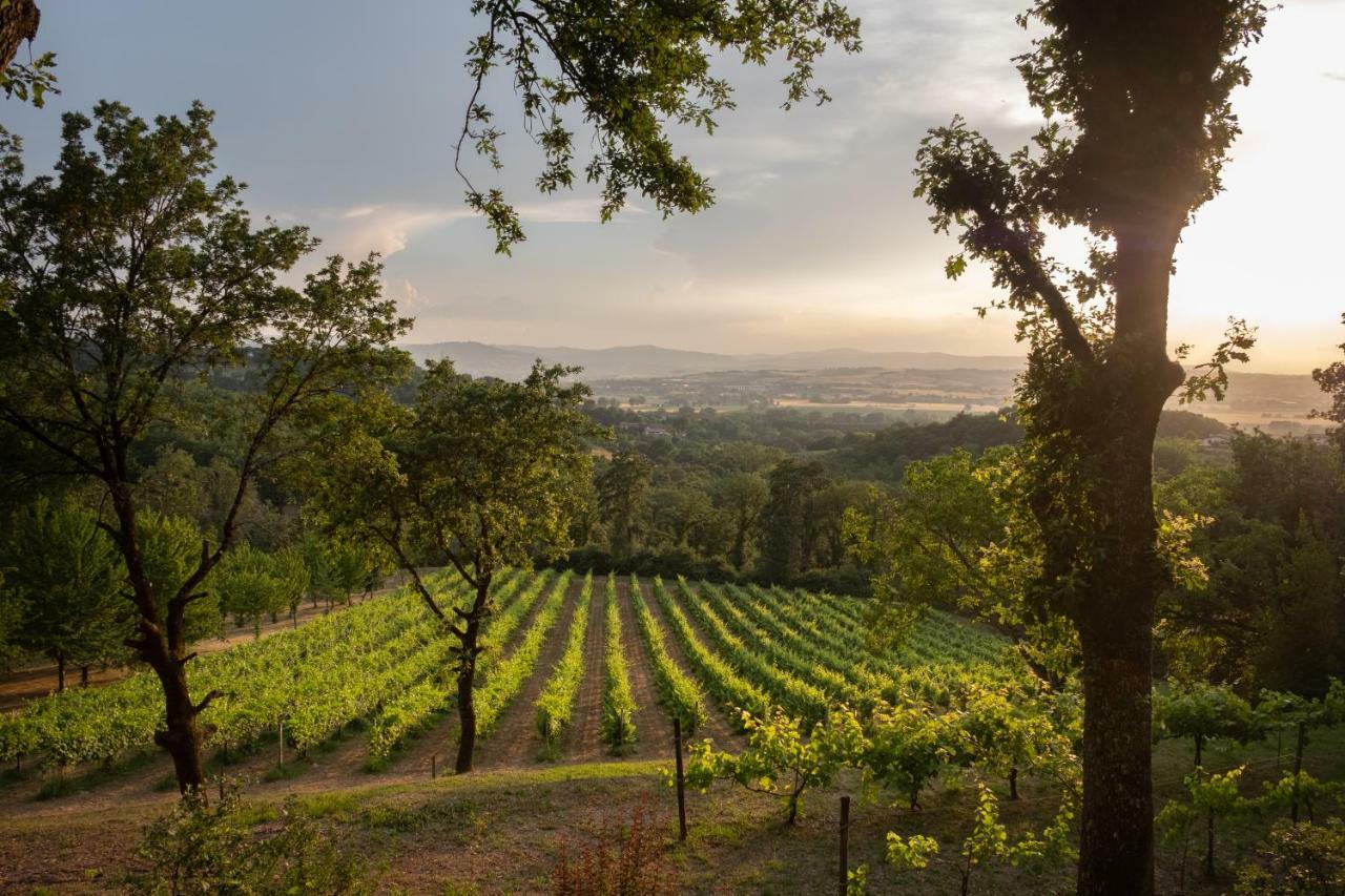 Agriturismo Le Cerque Collazzone Esterno foto
