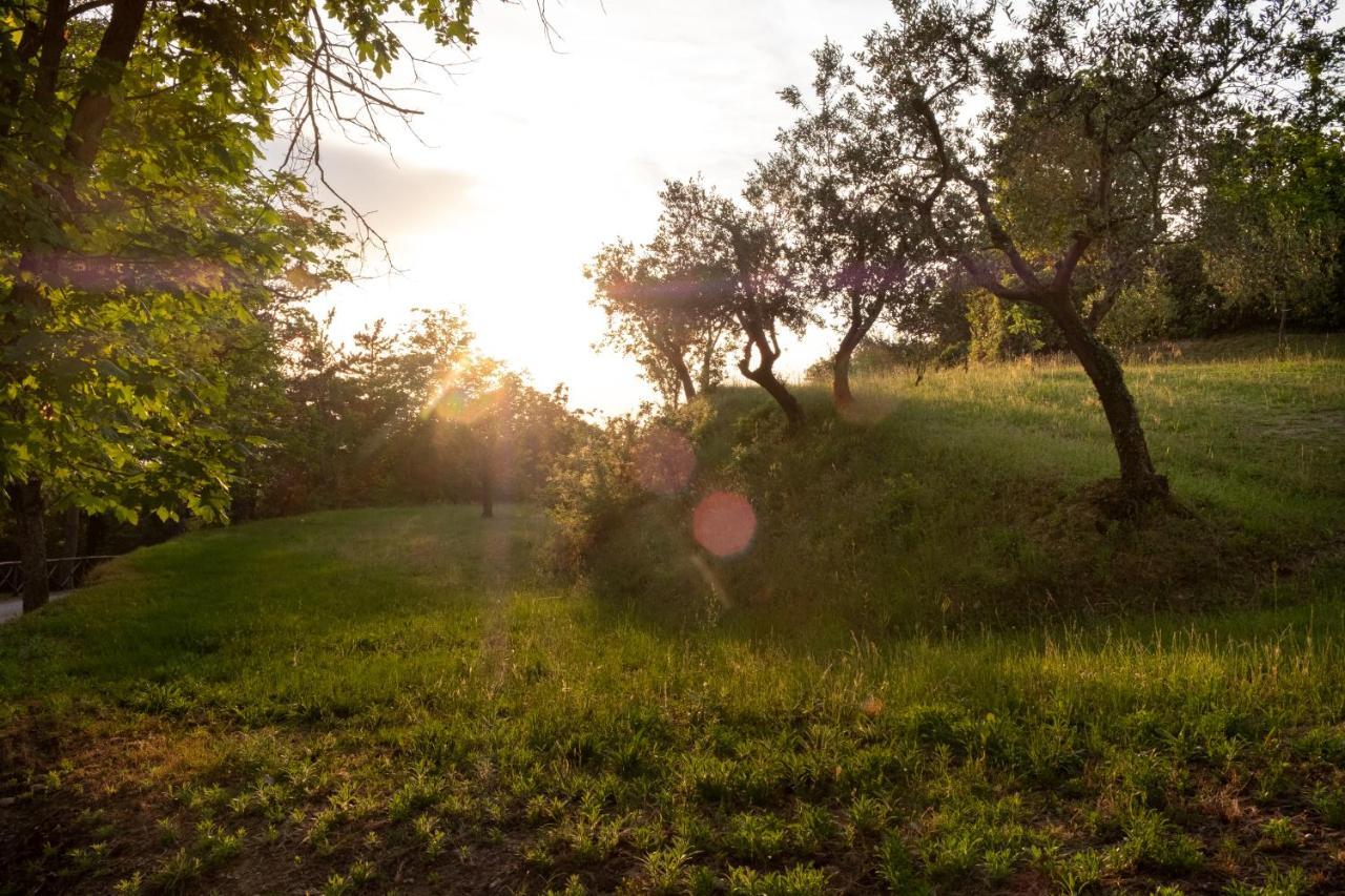 Agriturismo Le Cerque Collazzone Esterno foto